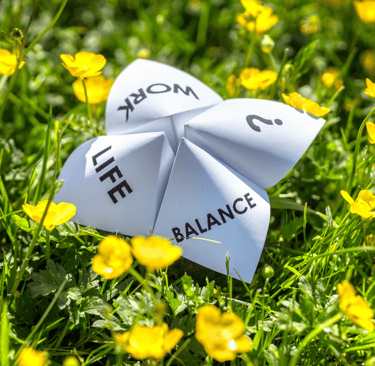 field of buttercups with a paper choice game, showing options work, life, balance, question mark