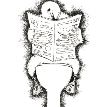 a swan sitting on a toilet seat with a newspaper