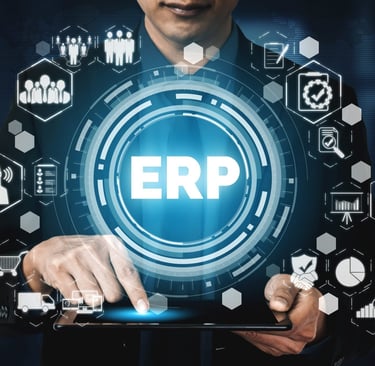 ERP Cloud Implementation in Consulting Industry
