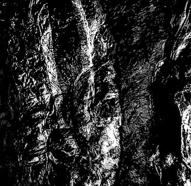 Black and white texture art image