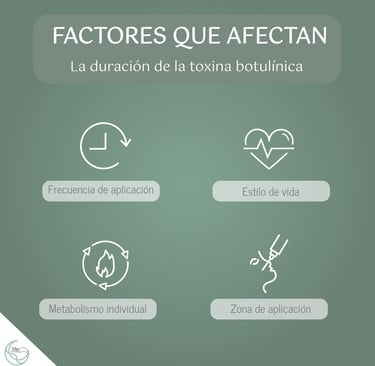 Factores que afectan la duración de la toxina botulínica: metabolismo, zona, frecuencia y estilo de vida