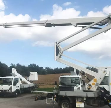 vehículos con cesta de ocasión