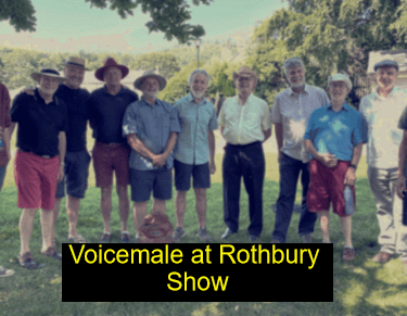 Voicemale at Harbottle show