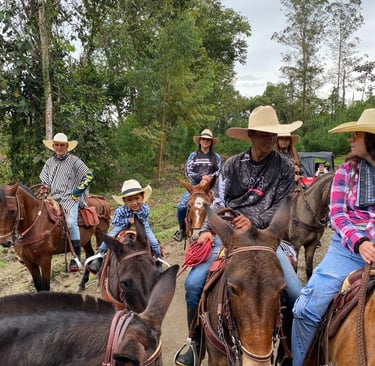 paseos a caballo en familia