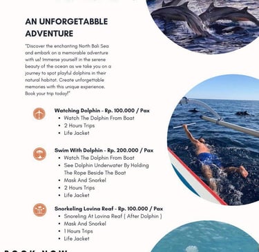 a flyer forlovina a dolphining tour in the ocean bu Sunrise Bali Tour