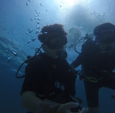  Diver exploring coral reef at Menjangan Island with Sunrise Dive Bali