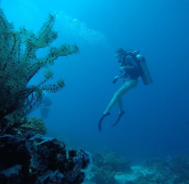 Rescue dive course session in Bali #RescueDive #PADIArabic
