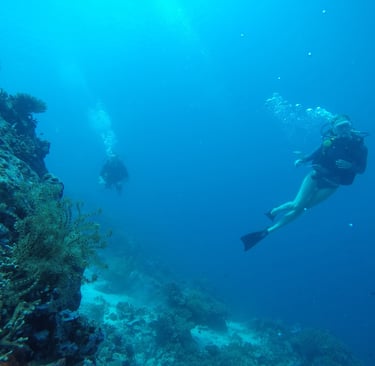 night dive Lovina reef #AdvancedArabicDive #SunriseBali