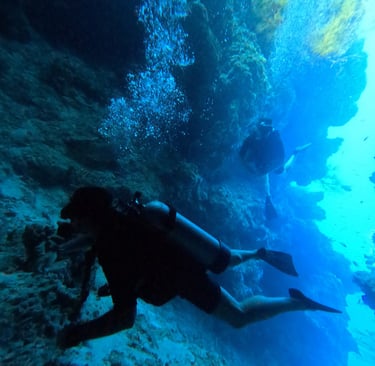 Scuba diver using a GoPro to capture underwater scenes with colorful fish at Lovina Reef, Bali