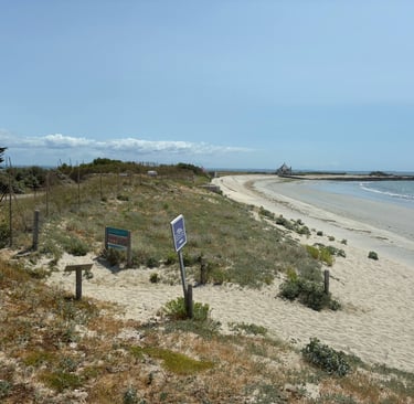 camping accès plage camping sarzeau