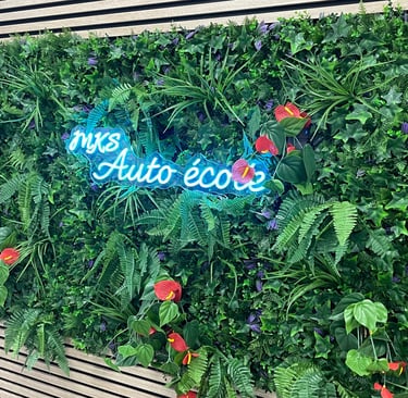 néon bleu sur fond de nature mks auto école