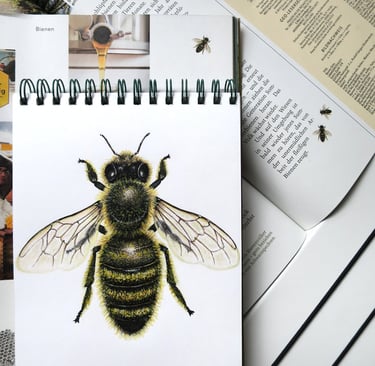 Honey bee illustration