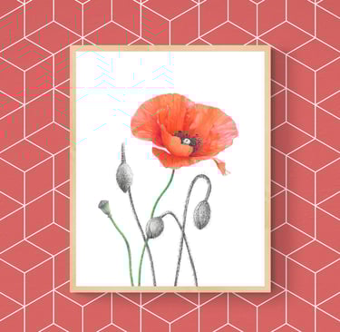 Poppies print framed