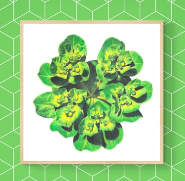 Green flower print framed