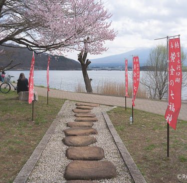 a pathway with stepping stones in the grass