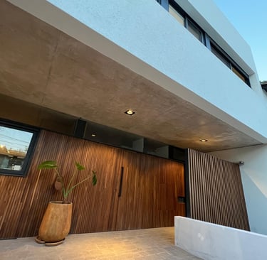 a house with a plant in the foreground and a wooden door