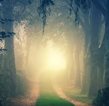 iepriekšējā dzīve