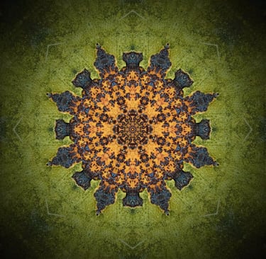 regresijas terapija cena