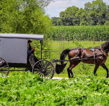 reinkarnācijas terapija