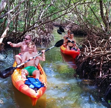 kayaking in the mangroves of siesta key