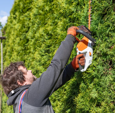 Tailler les haies dans le jardin