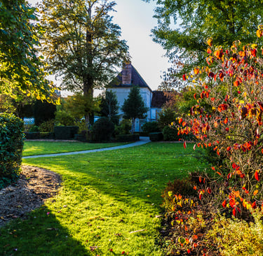 Tendances aménagement jardin
