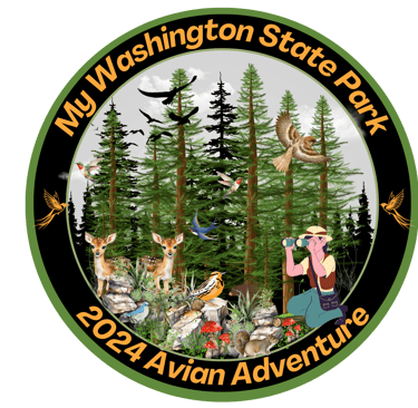 Washington State Park Bird Watching Adventure