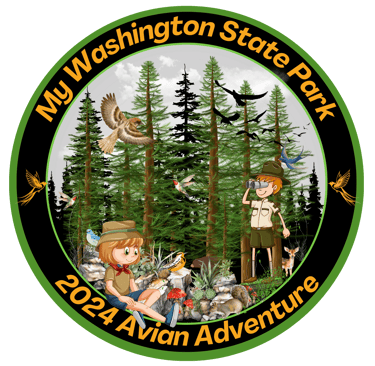 2024 Avian Adventures