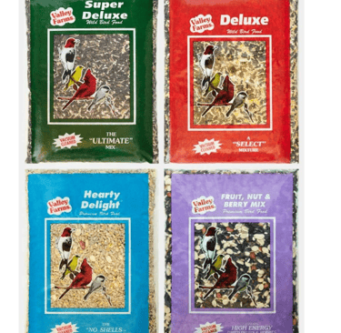 Bird Food