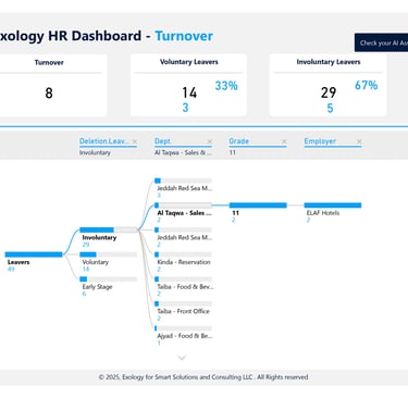 HR Dashboard Turnover