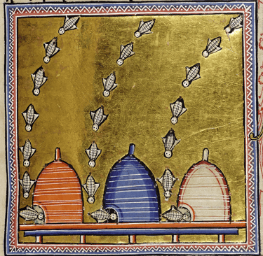 Bees in the Aberdeen Bestiary, f. 63r.