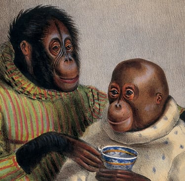 Monkeys in clothes having tea