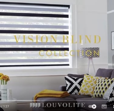 vision blinds