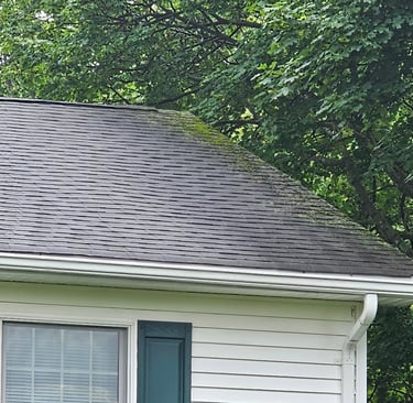 Roof with moss growing on top