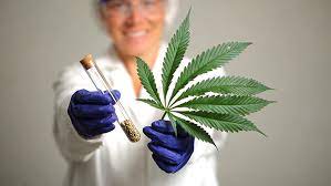 a woman in a lab coat holding a marijuana leaf