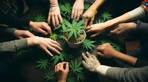 a group of people holding hands together in a circle