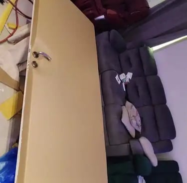 حل دخول الصوت من باب الشقة