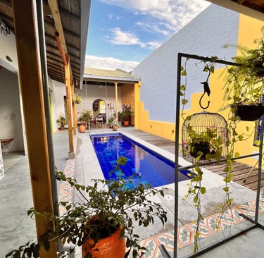 CasaBela pisicna cerca del jardin