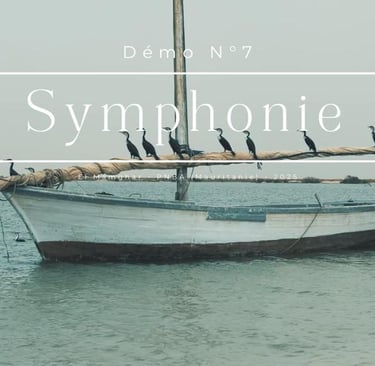 miniature de vidéo - symphonie