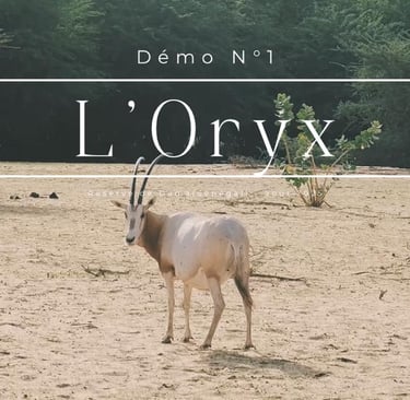 miniature de vidéo - oryx 