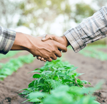 alt=Contato com a Vortex