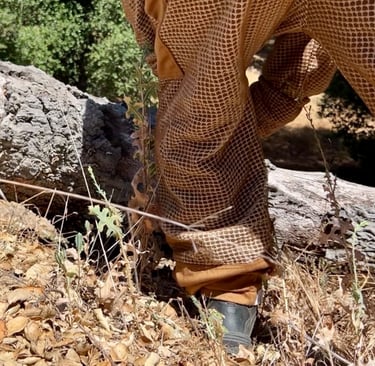 Property Management Pest Control Bee Treatment in Wildomar CA by Footprint Pest Management