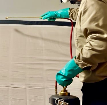 Bed Bug Inspection Footprint Pest Management Local Reliable and Honest