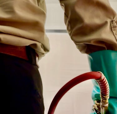 Bed Bug Pest Control treatment in Menifee Footprint Pest Management