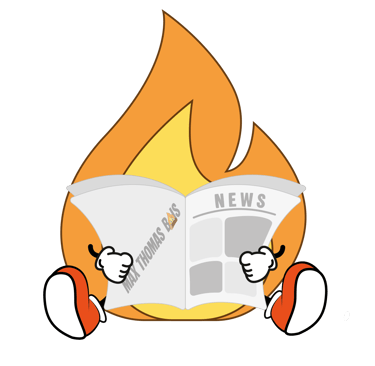 Maxima la petite flamme de bois de chauffage