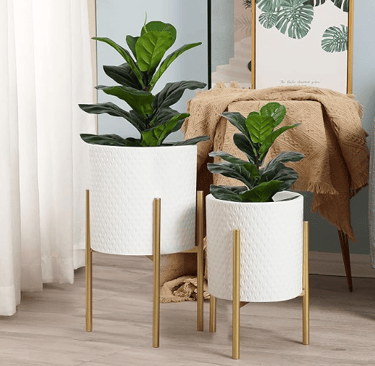 two gold plant stands holding round white ceramic planters with green palms