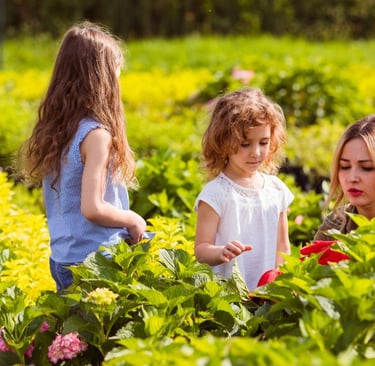 excursión pedagógica