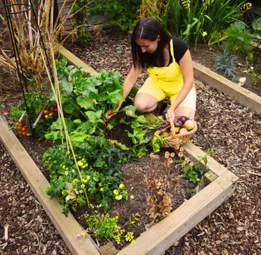 a woman is kneeling down to pick vegetables such as tomatoes, onions and beetroots into a basket