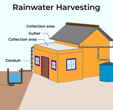 Rain water harvesting
