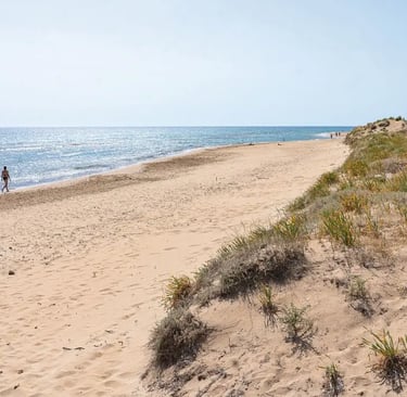 Halikounas Beach Korfu Villa Olivia Pentati